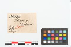 Etikett zu Bronzearmreif (NHMW-PRAE-026129)